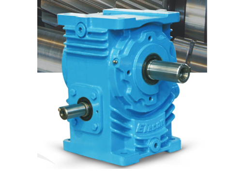 Worm Reduction Gear Boxes-Elecon